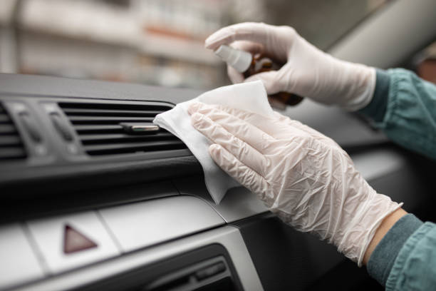 Best Air Duct Mold Removal  in Portage, WI